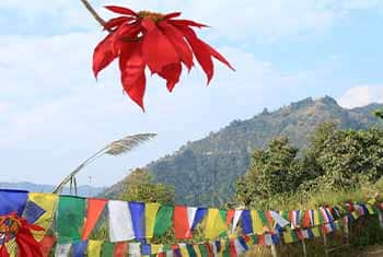 Kahun Danda Trek | Kurze und einfache Wanderung um Pokhara